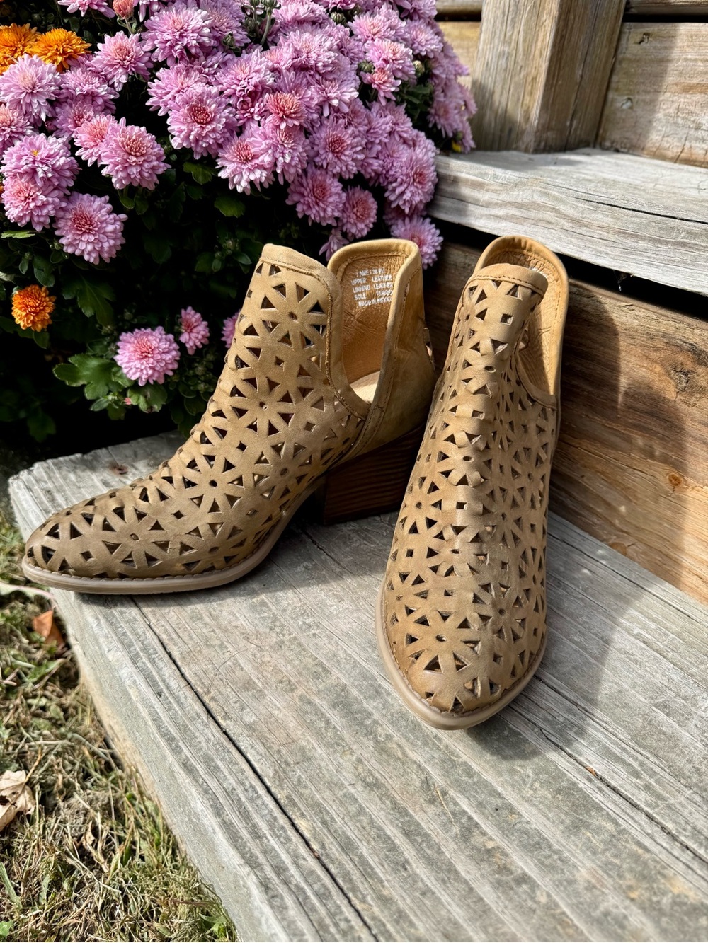 Musse & Cloud Athena Laser-Cut Ankle Booties - Women